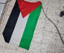 חדשות, חדשות בארץ, מבזקים יידו אבנים כשדגלי פלסטין עליהם – ונעצרו